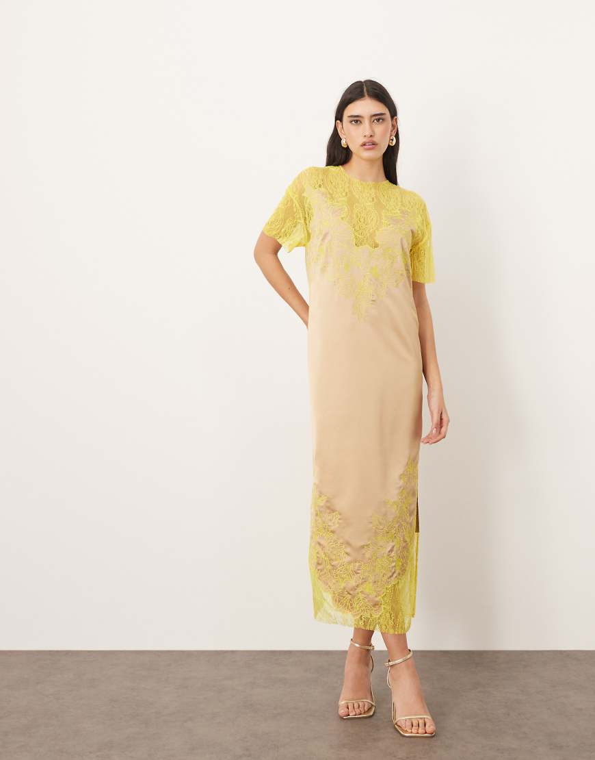ARRANGE satin embroidered lace applique column midi dress in taupe and lime
