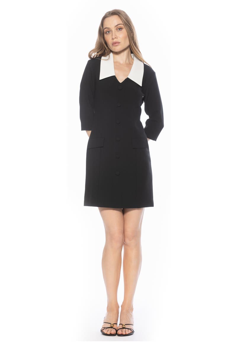 Isolde Colorblock Collared Dress