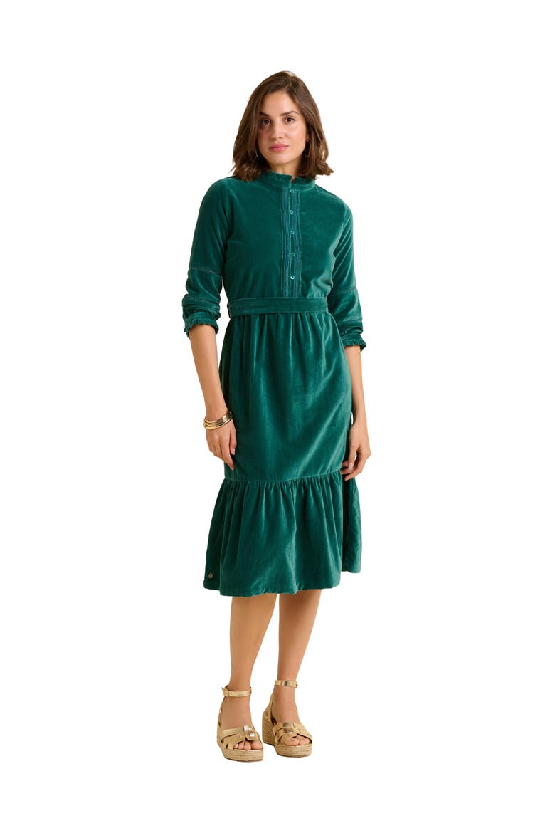 Starry 3/4 Sleeve High Neck Midi Dress