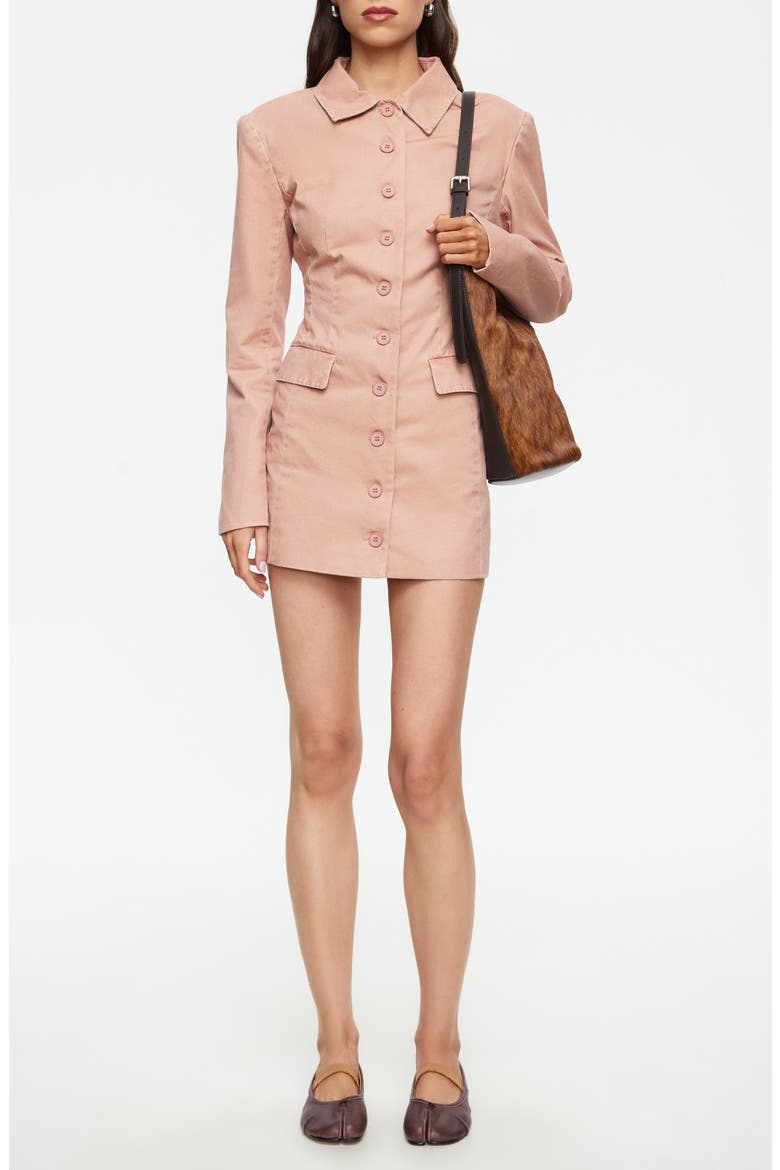 Cheri Long Sleeve Minidress