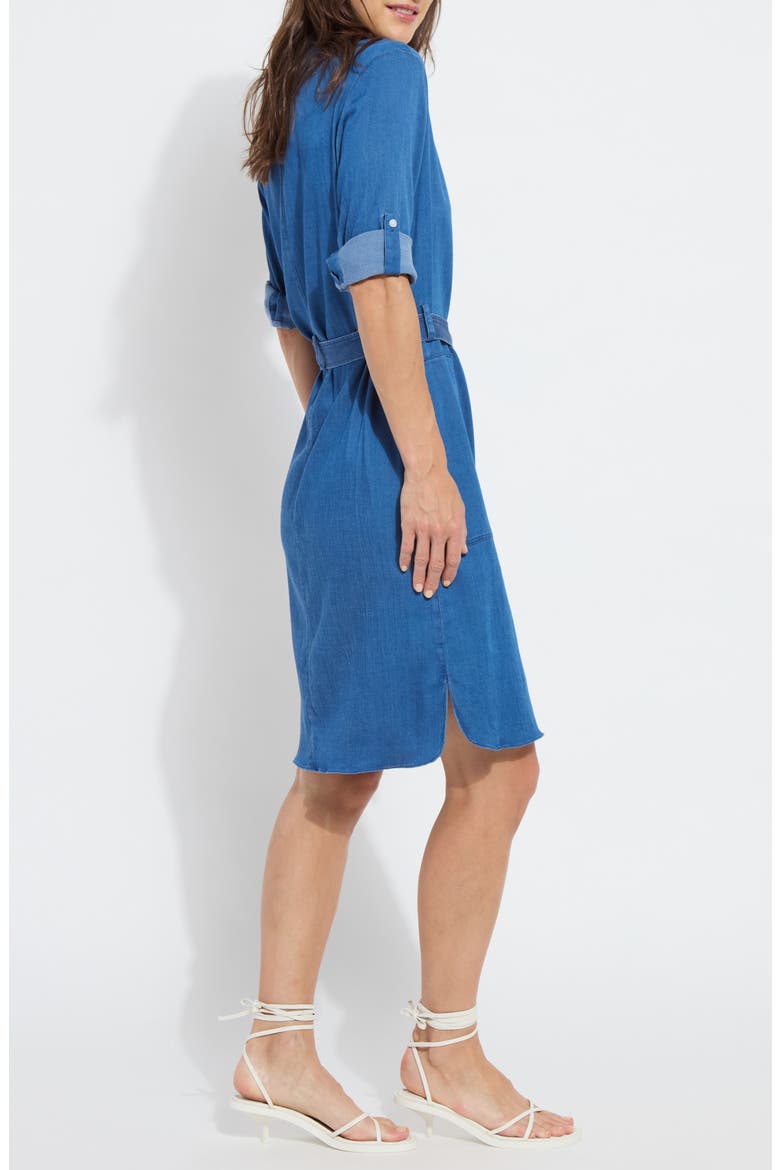 Delphine Chambray Shirtdress