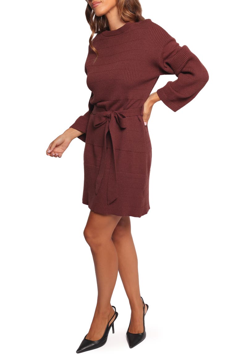 Lucca Long Sleeve Mini Sweater Dress
