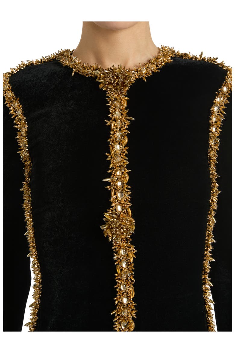 Long Velvet Dress with Embroidered Trim