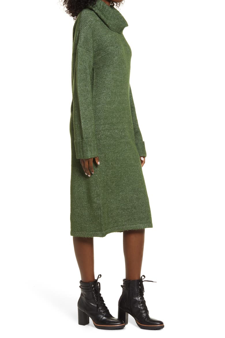 Gaiva Turtleneck Long Sleeve Sweater Dress