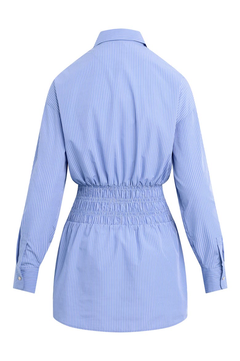 The Waist Not Mini Shirtdress