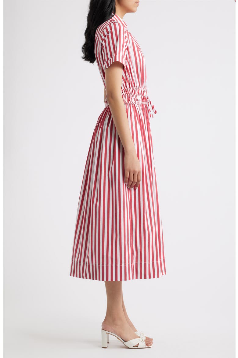 Stripe Cotton Blend Shirtdress