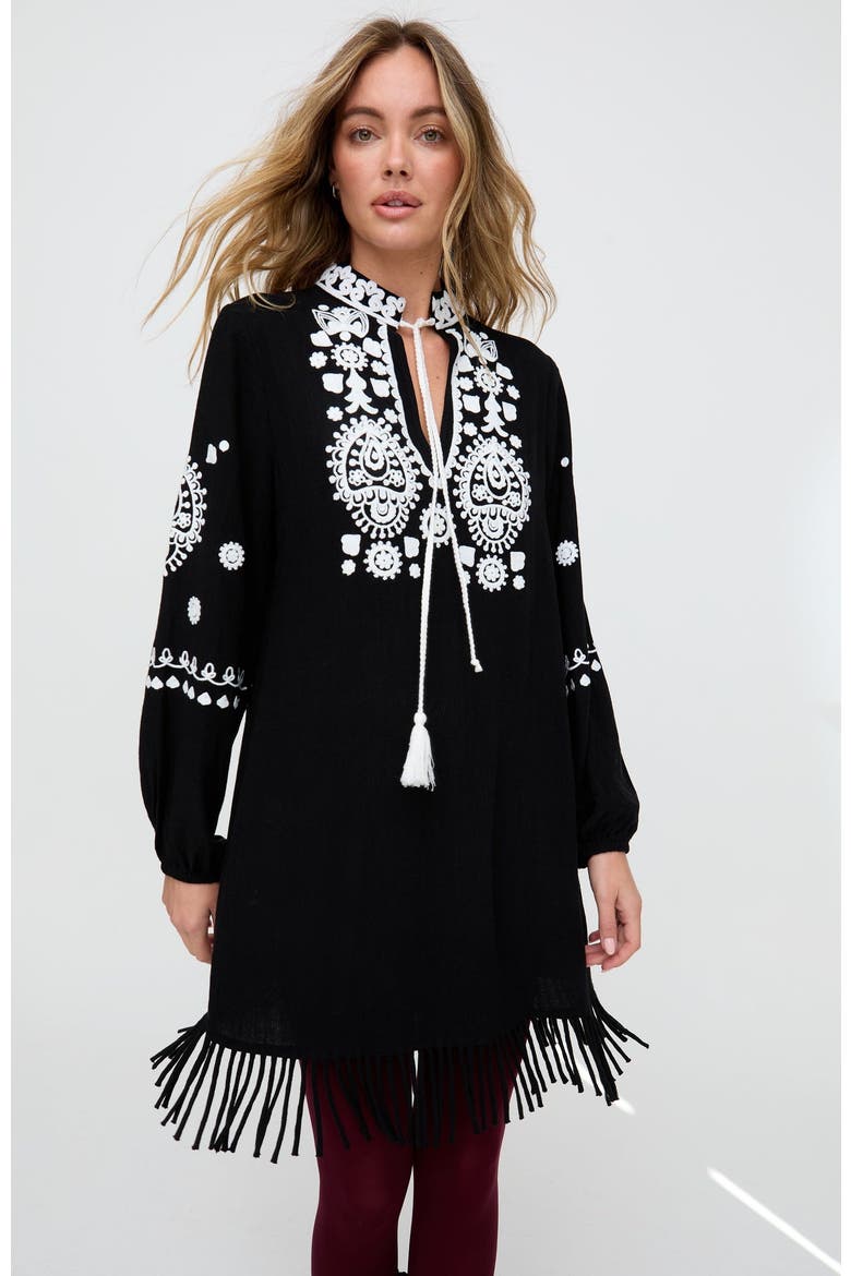 Katie Fringe Embroidered Mini Dress