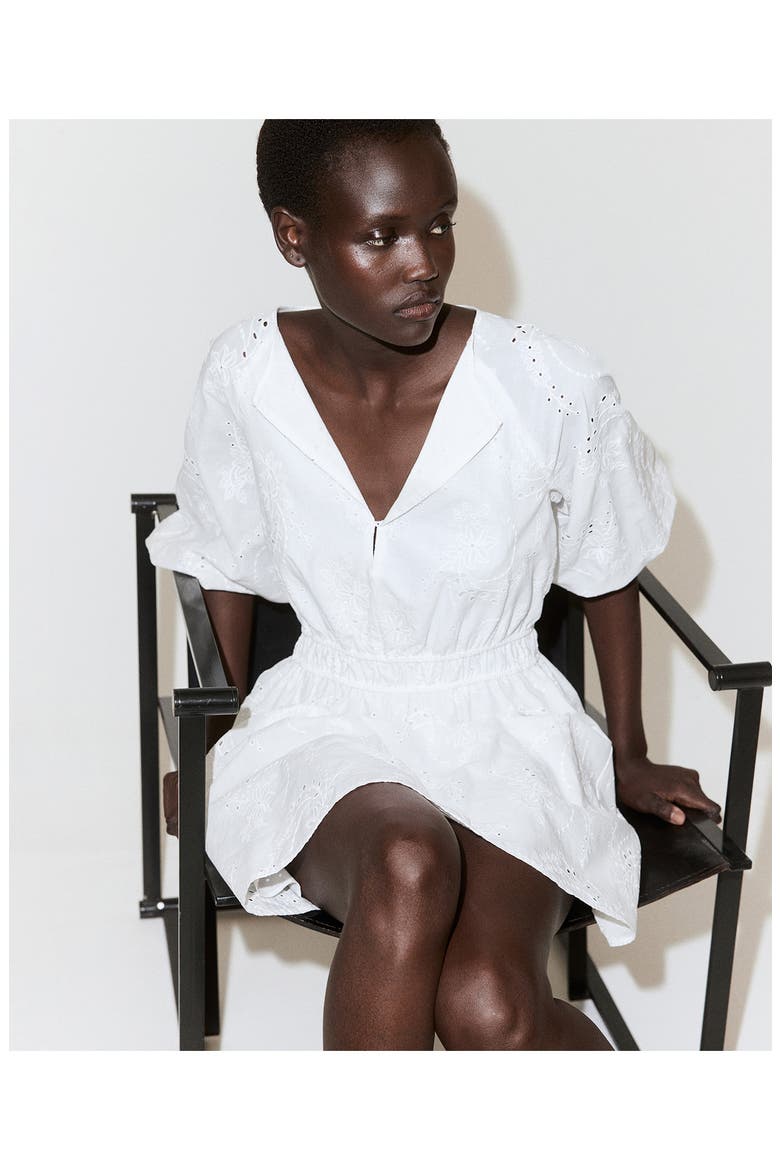 Floral Embroidered Cotton Minidress