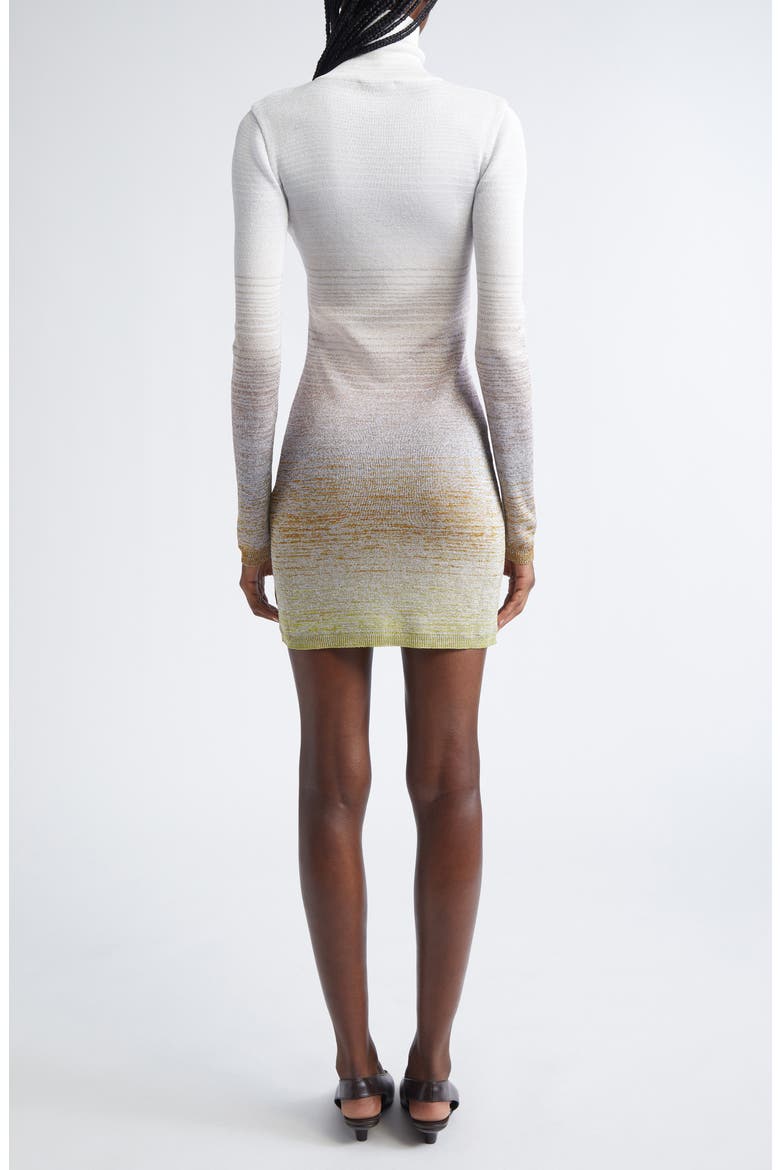 Ombré Stripe Long Sleeve Turtleneck Mini Sweater Dress