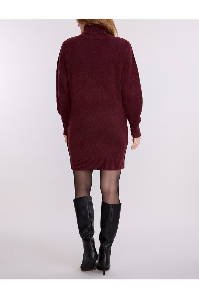 Long Sleeve Turtleneck Sweater Tunic Dress