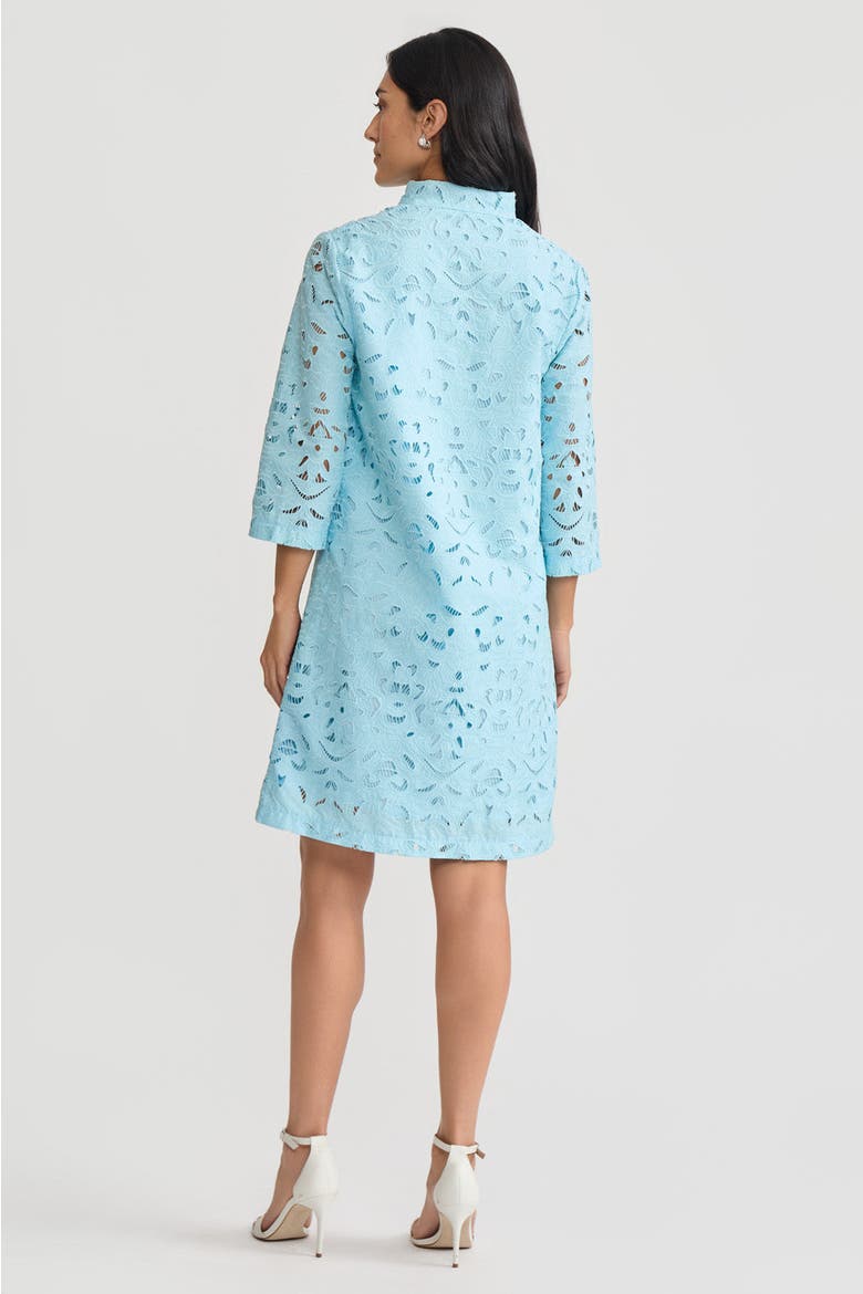 Lined Embroidered Stitch Woven Midi Dress