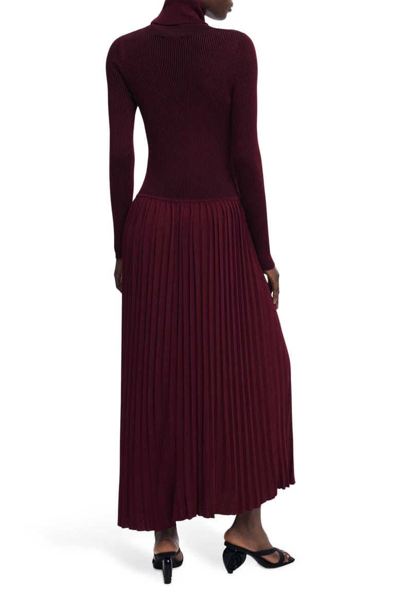 Long Sleeve Pleat Turtleneck Maxi Dress