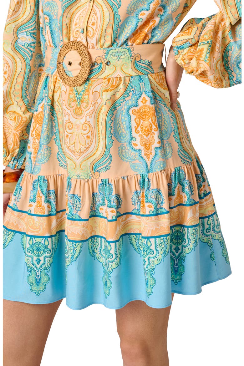 Long Sleeve Placed Print Dress