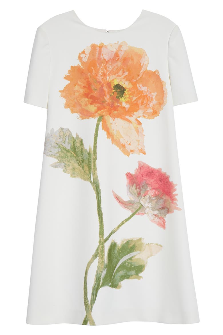 Poppy Print Stretch Crepe A-Line Minidress
