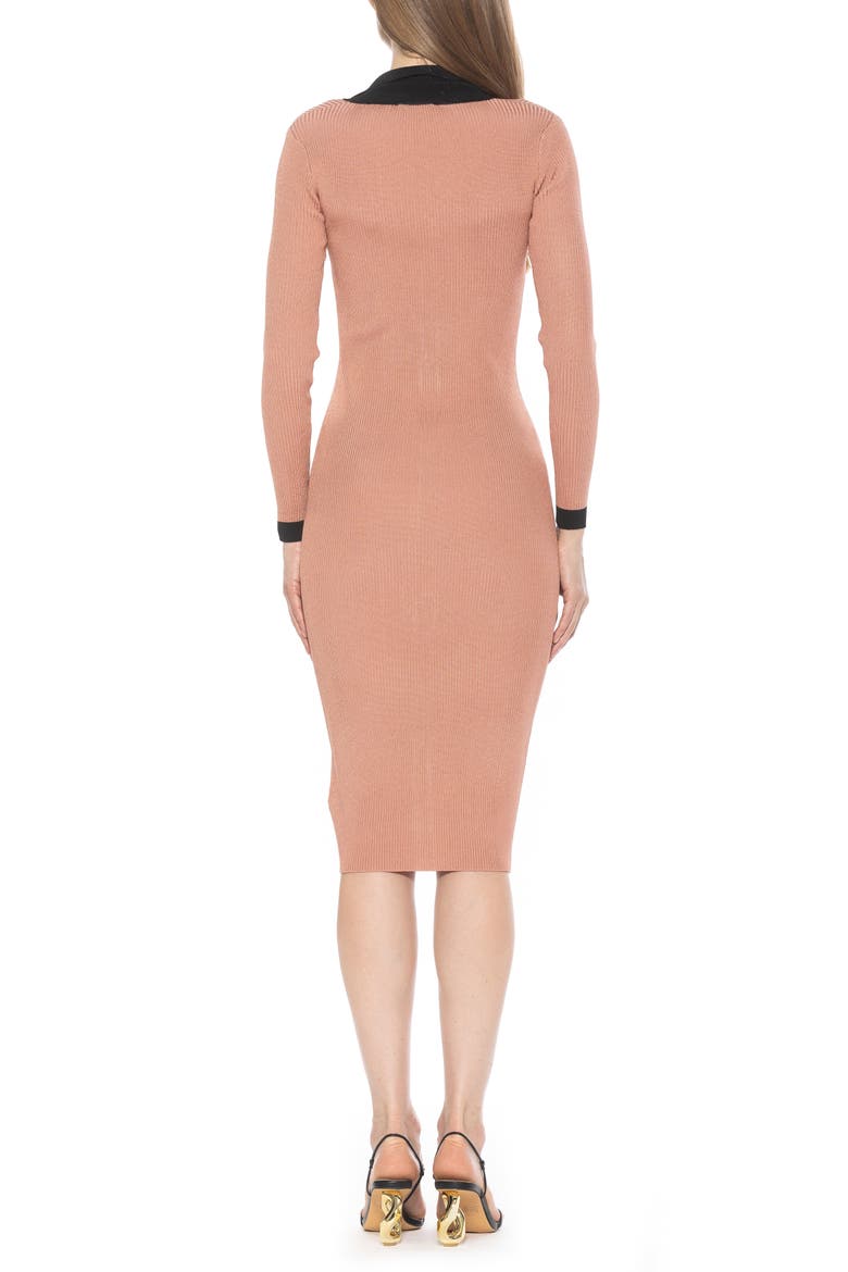 Cordelia Knit Long Sleeve Shirtdress