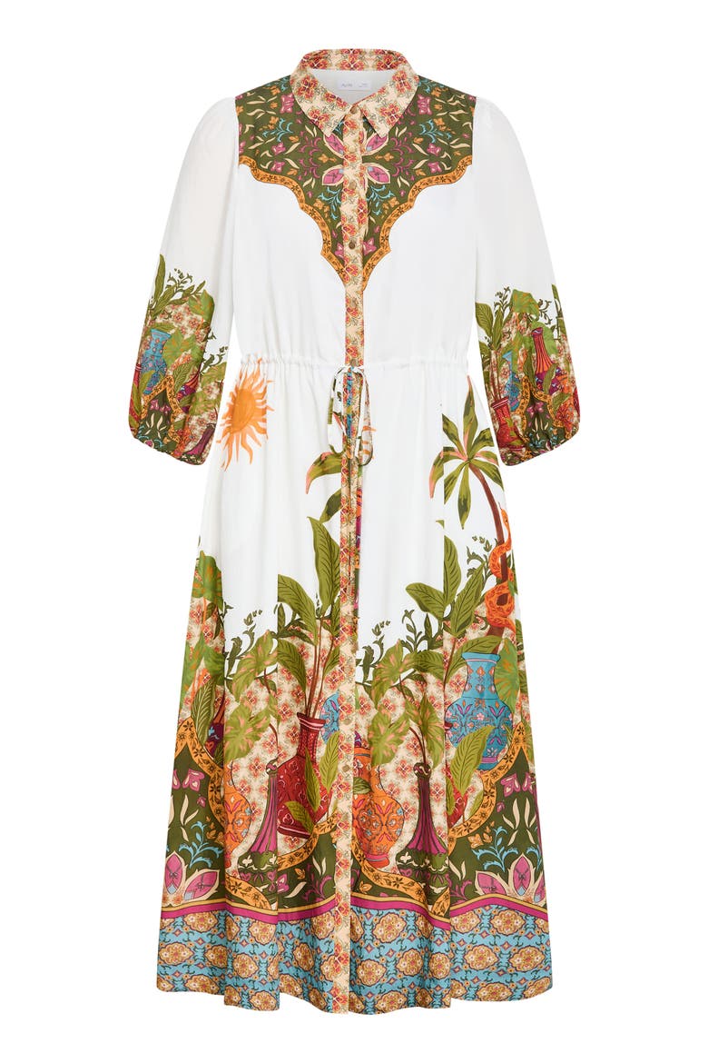 Print Long Sleeve Maxi Dress