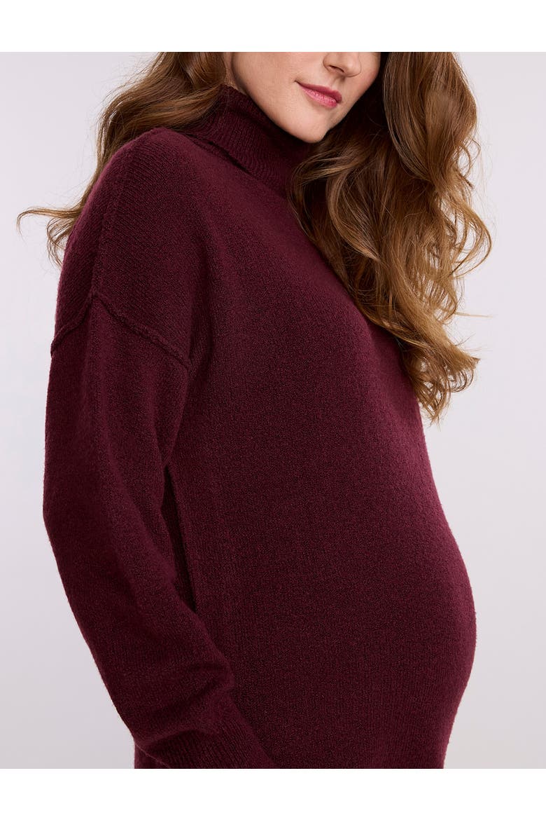 Long Sleeve Turtleneck Sweater Tunic Dress