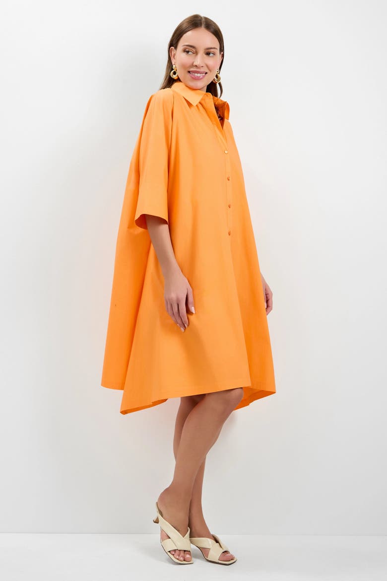Seveso Shirt Dress