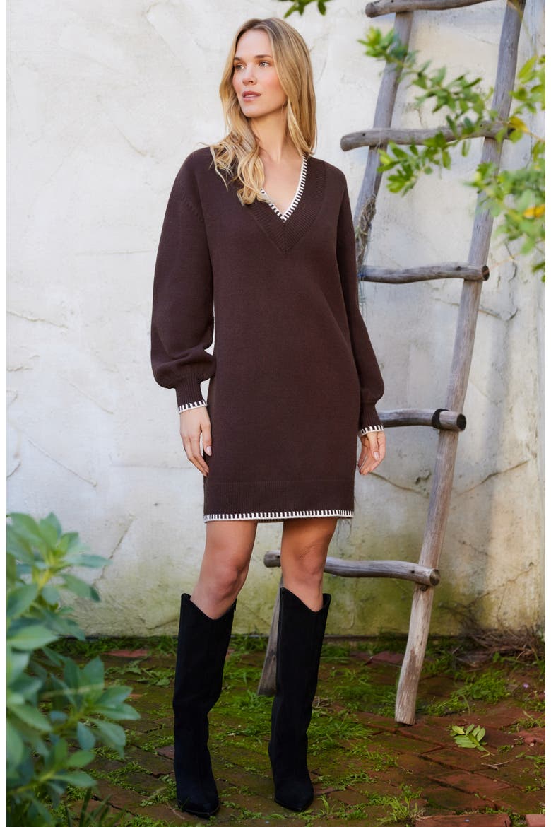 Varsity V-Neck Long Sleeve Sweater Minidress