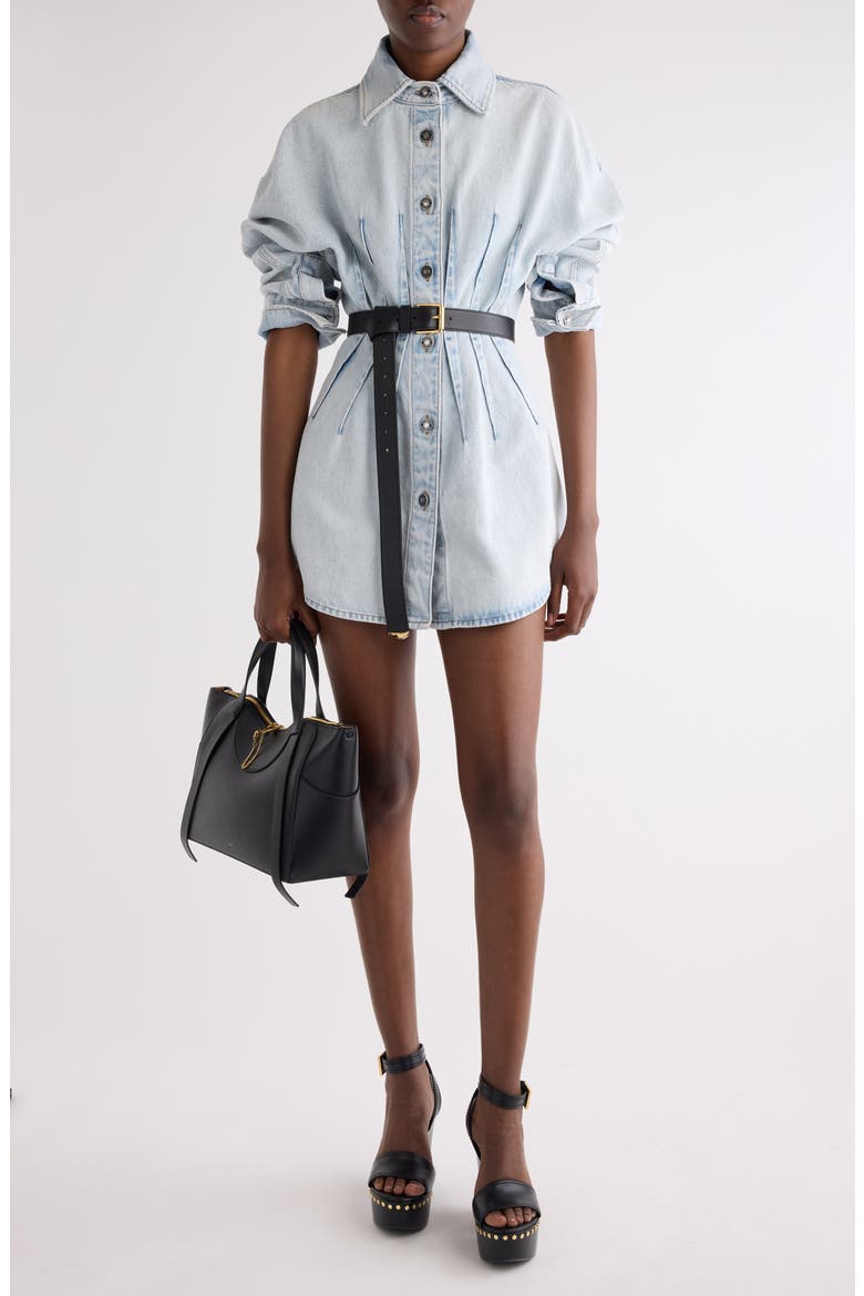 Long Sleeve Shaped Denim Minidress