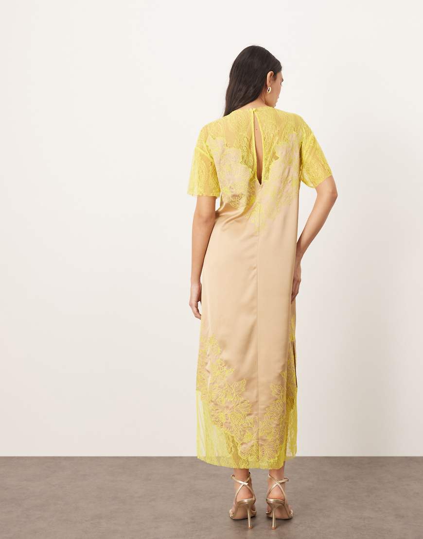 ARRANGE satin embroidered lace applique column midi dress in taupe and lime