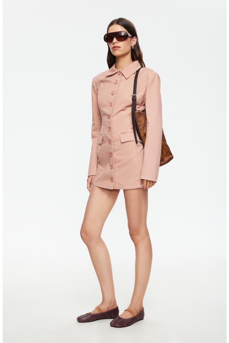 Cheri Long Sleeve Minidress