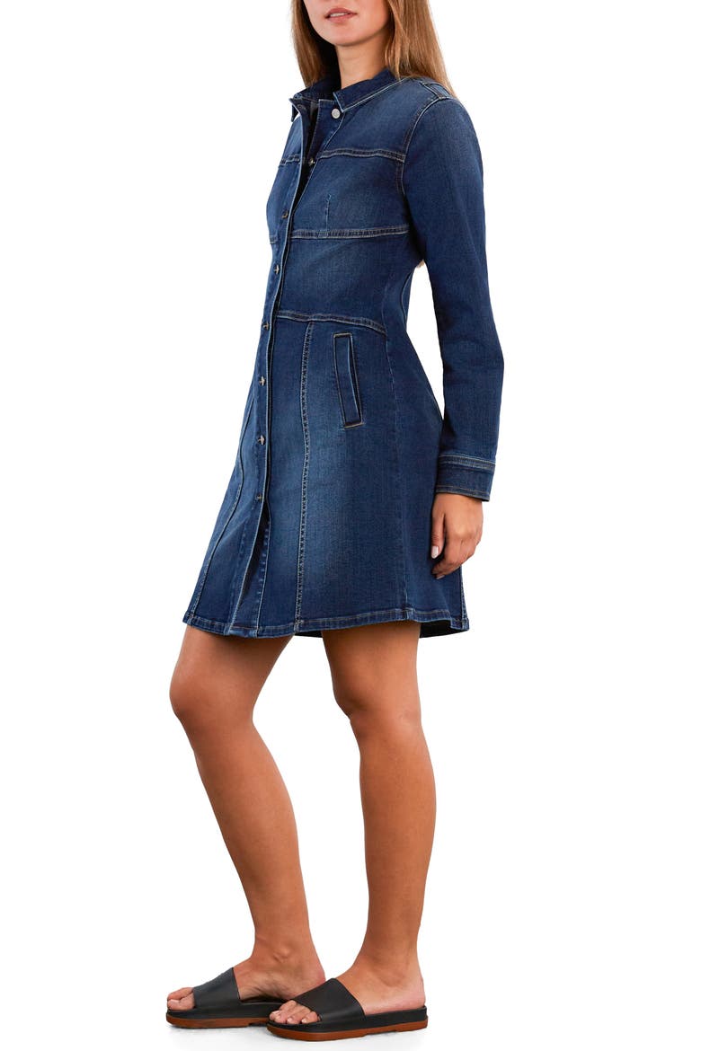 Wisp Long Sleeve Stretch Denim Dress