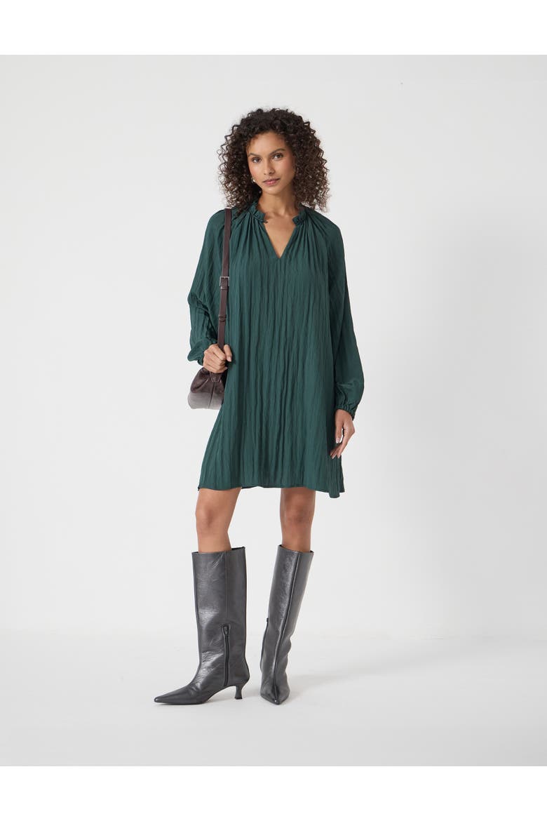 Ruffled Long Sleeve Mini Dress