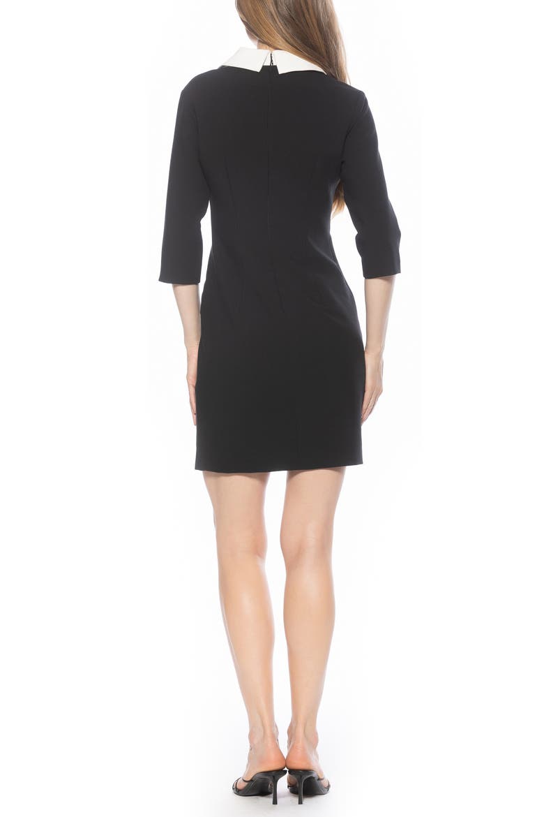 Isolde Colorblock Collared Dress