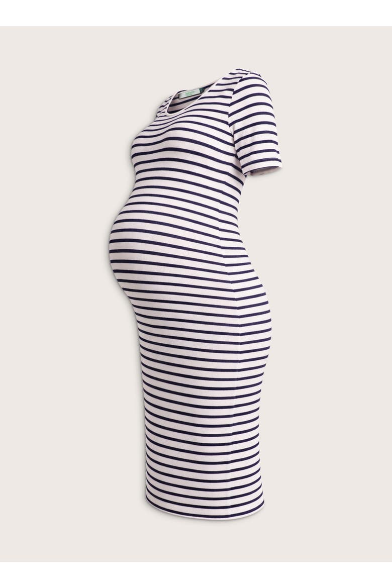 Anise Maternity Round Neck Fitted Dress