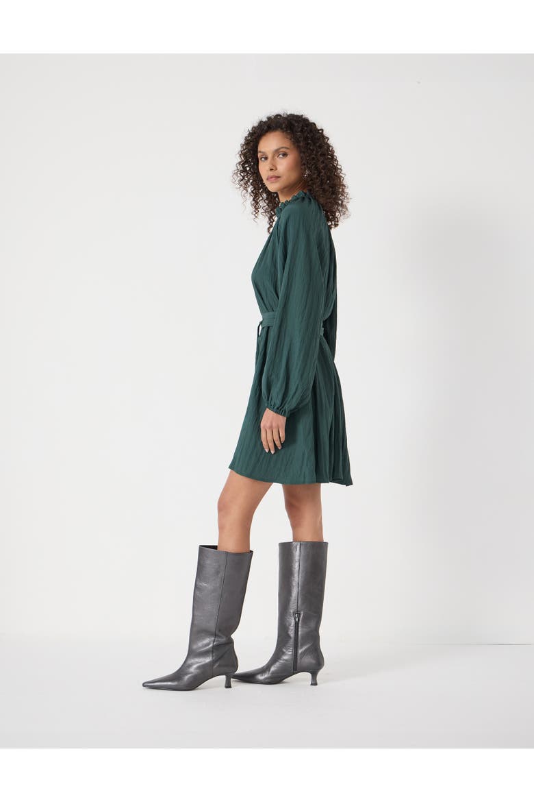 Ruffled Long Sleeve Mini Dress