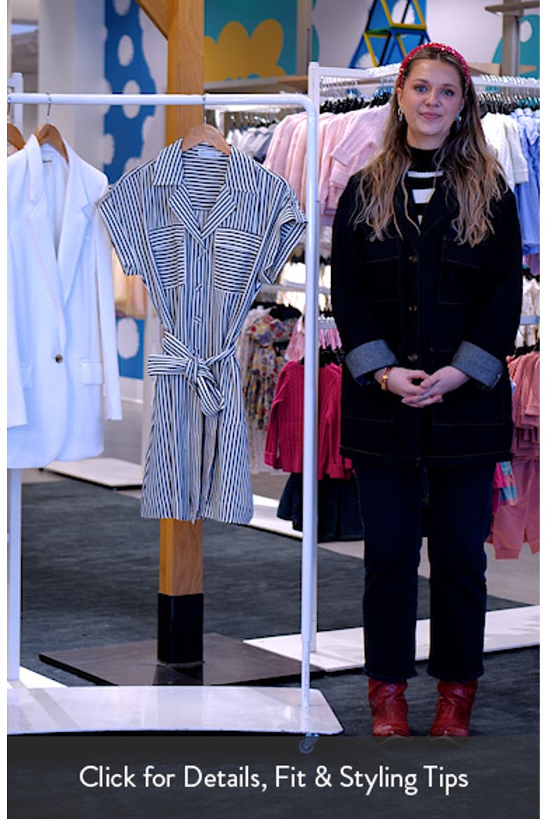 Portia Stripe Mini Shirtdress