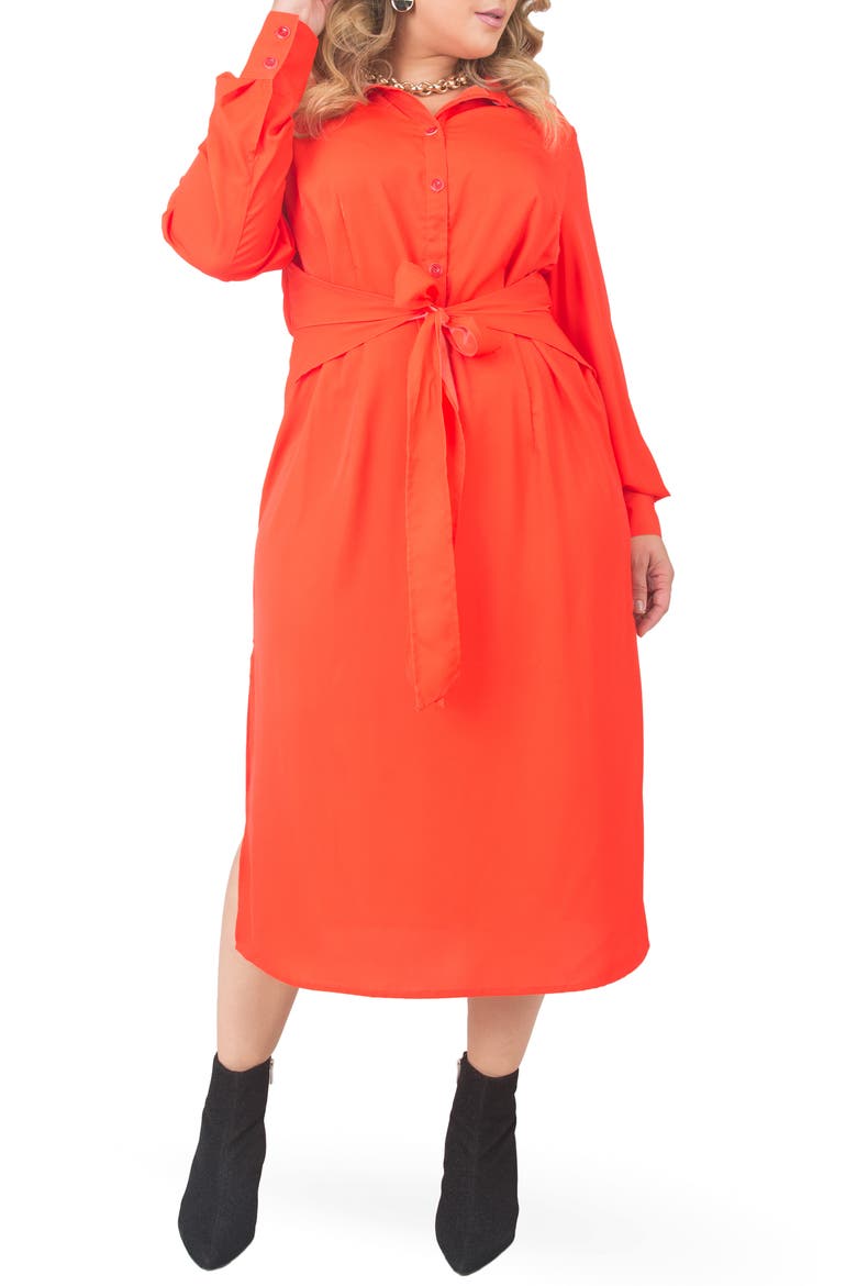 Tie Waist Long Sleeve Midi Dress