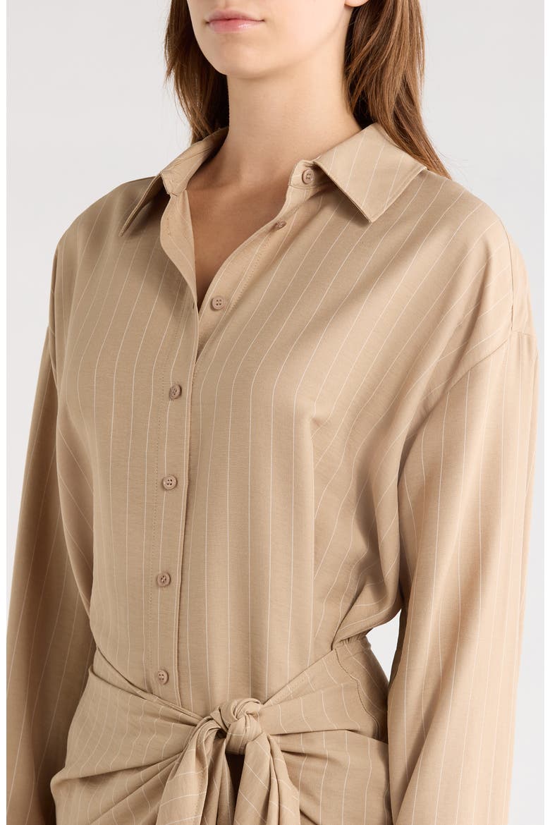 The Sweet Talker Pinstripe Long Sleeve Shirtdress
