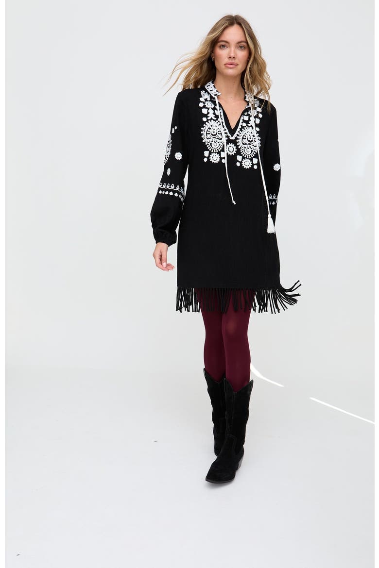 Katie Fringe Embroidered Mini Dress