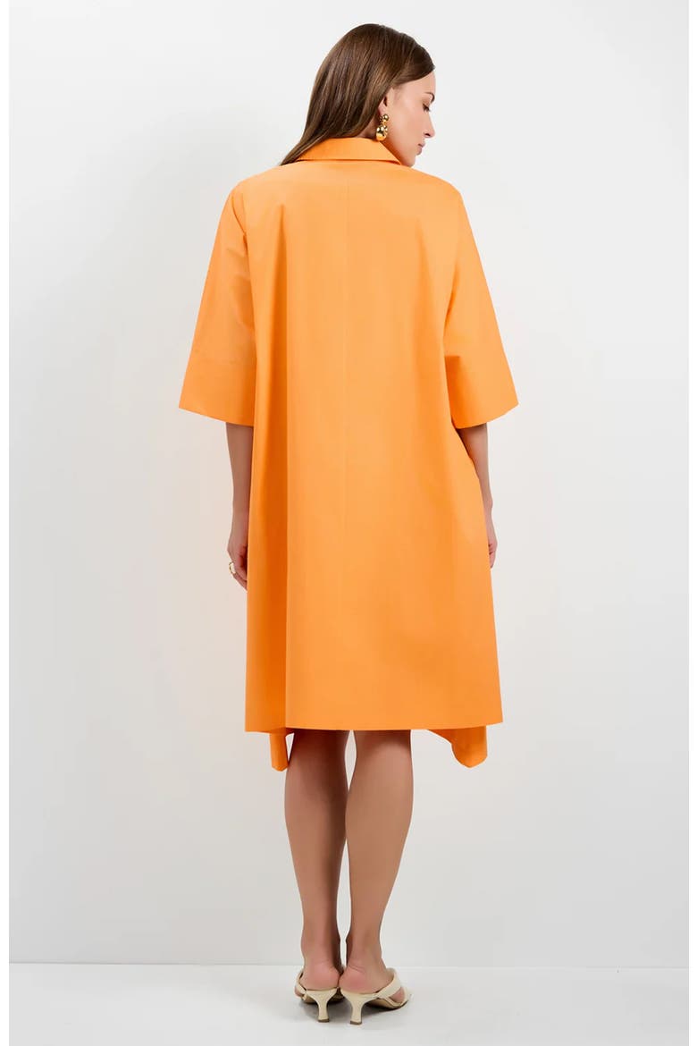 Seveso Shirt Dress