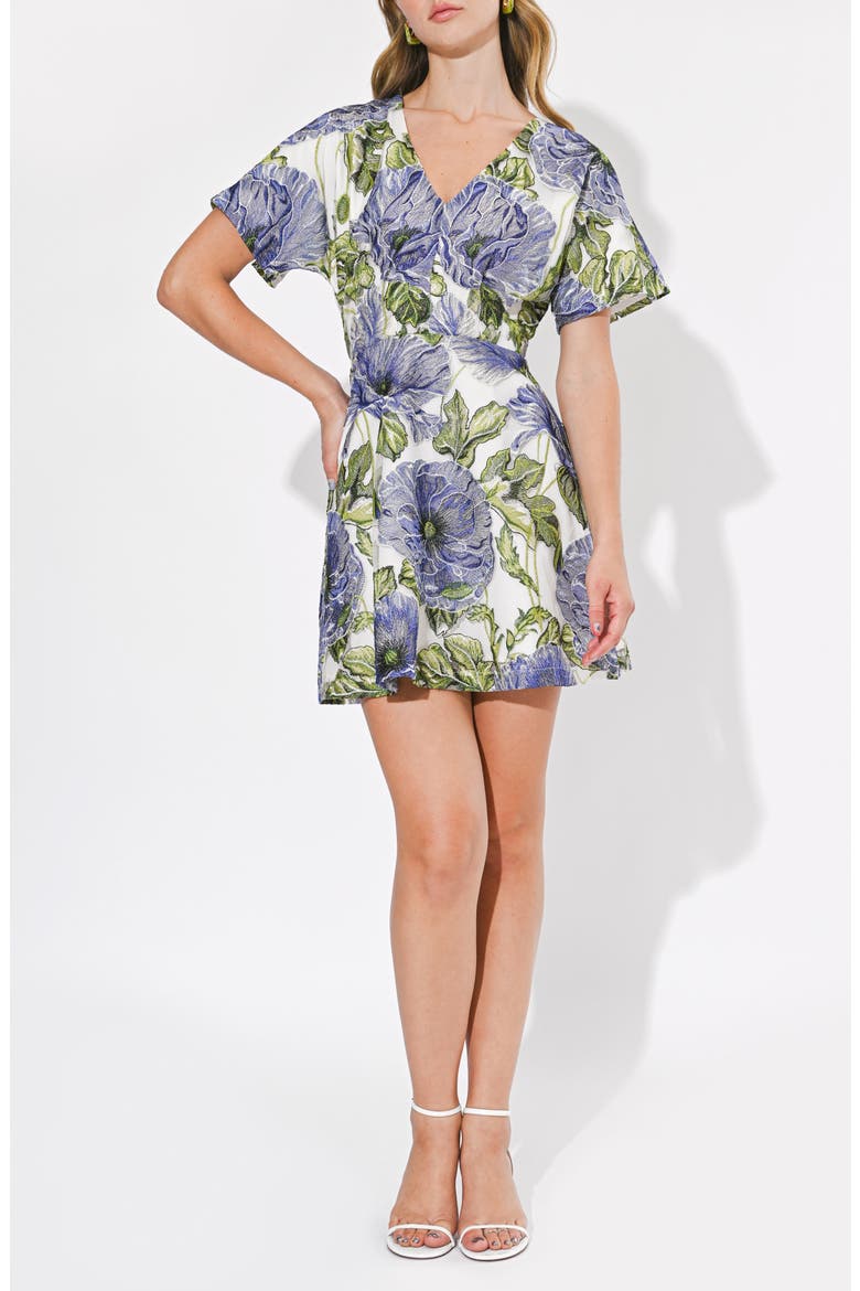Cynthia Floral Embroidery Minidress