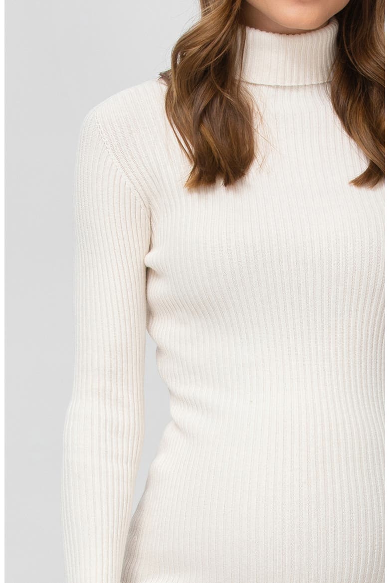 Turtleneck Long Sleeve Rib Maternity Sweater Dress