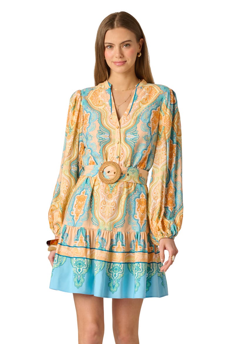 Long Sleeve Placed Print Dress