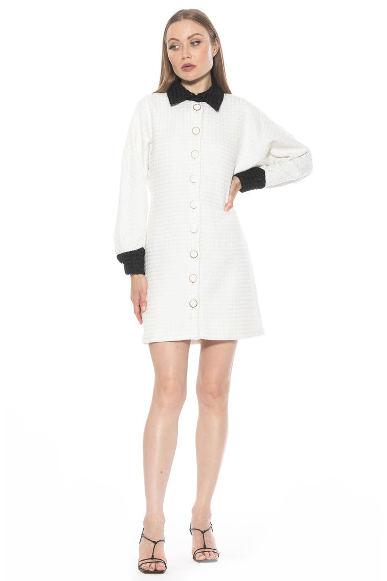 Velvette Long Sleeve Mini Tweed Shirtdress