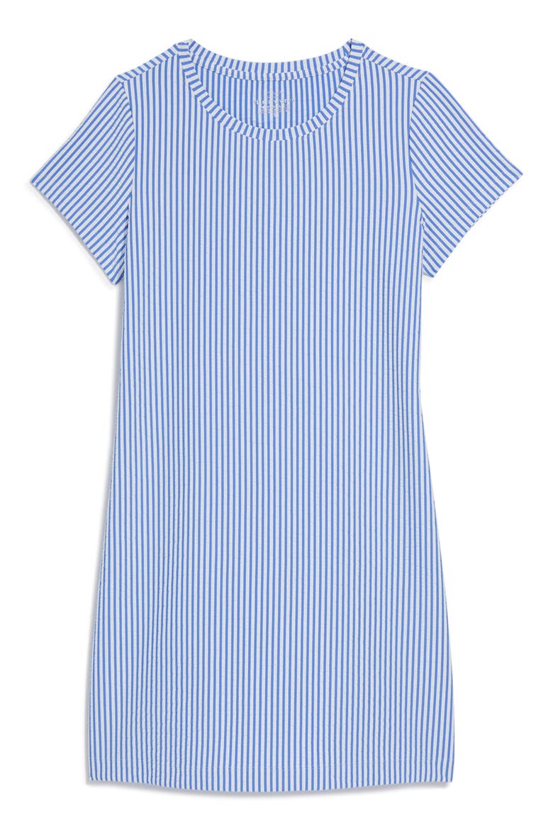 Seersucker Stripe Knit Dress