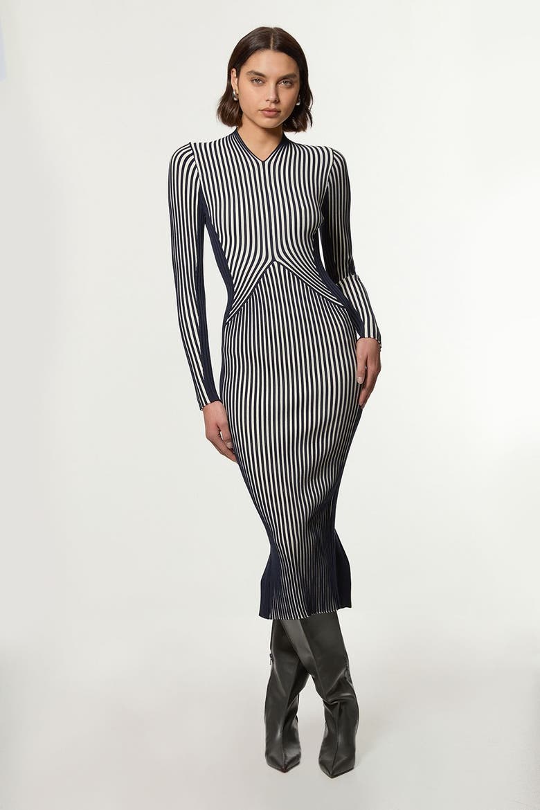 Petite Fitted Long Sleeve Midi Dress