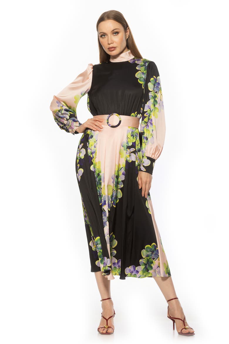 Safiya Long Sleeve Belted Fit & Flare Dress