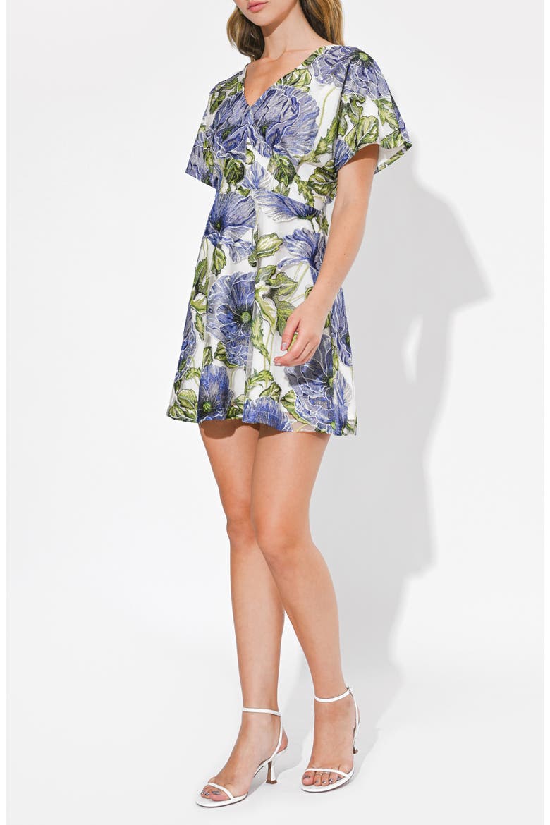 Cynthia Floral Embroidery Minidress