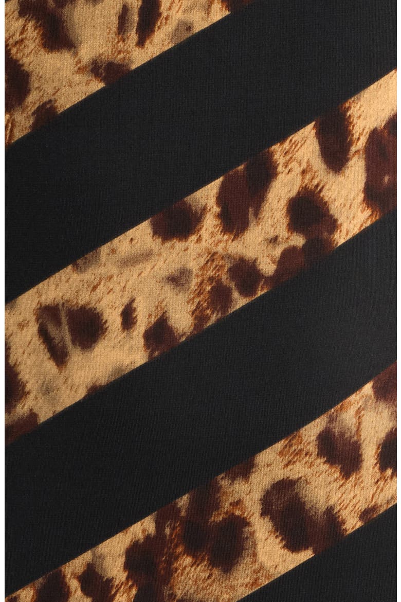 Leopard Stripe Long Sleeve Maxi Dress