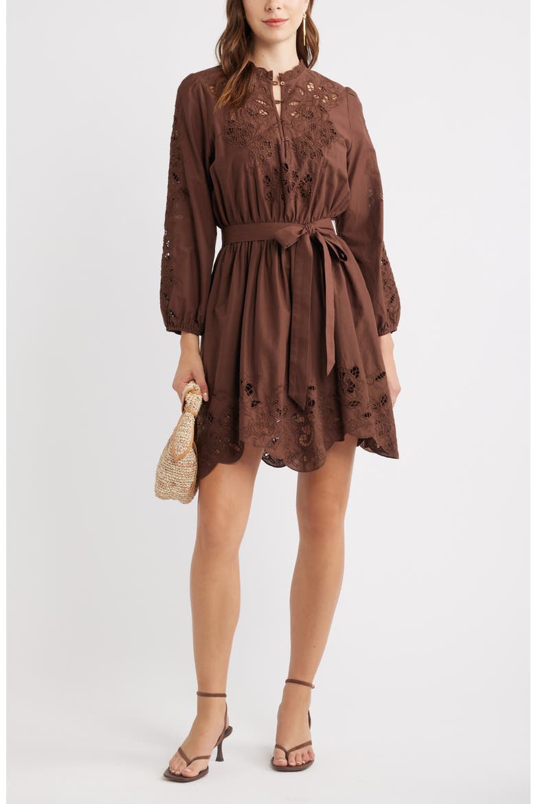 Embroidered Long Sleeve Tie Waist Minidress