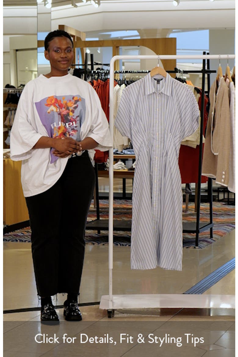'70s Stripe Cotton Broadcloth Shirtdress
