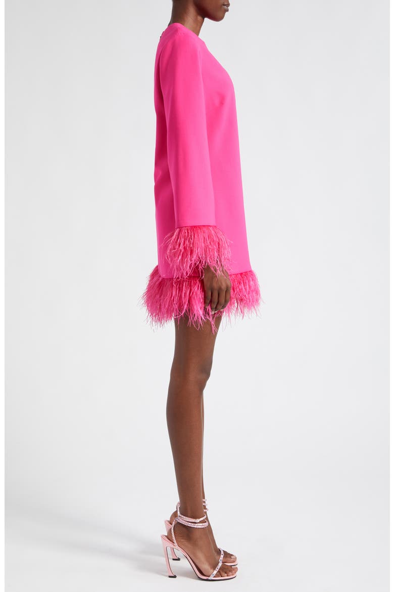 Marullo Feather Trim Long Sleeve Dress