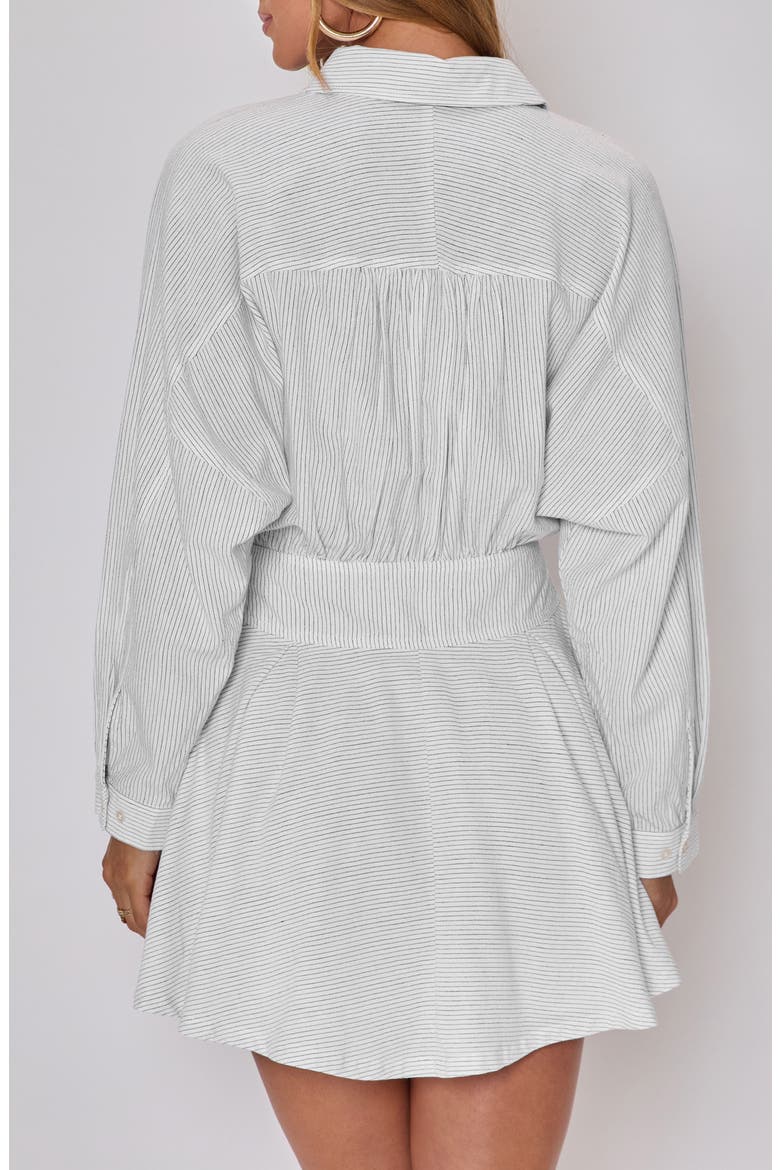 Taylor Stripe Long Sleeve Cotton & Linen Mini Shirtdress