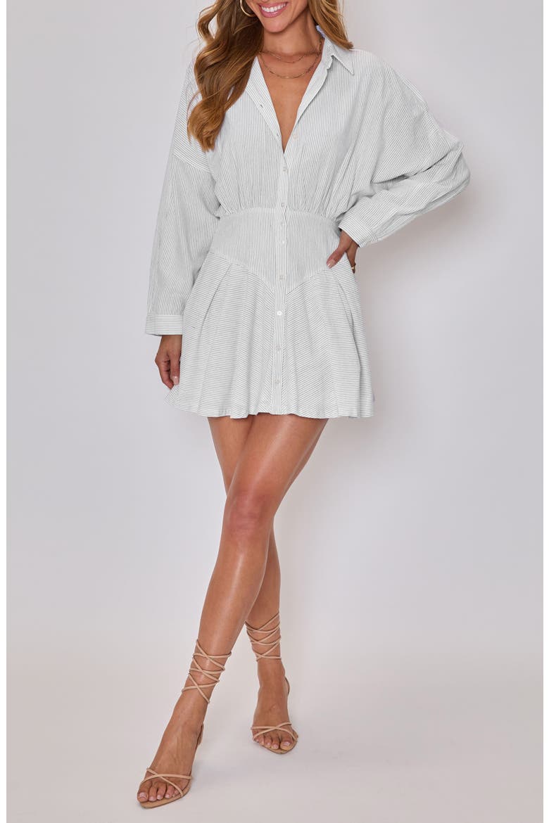 Taylor Stripe Long Sleeve Cotton & Linen Mini Shirtdress
